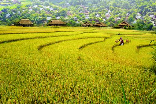 HEALTHY FOOD WHEN TRAVELLING